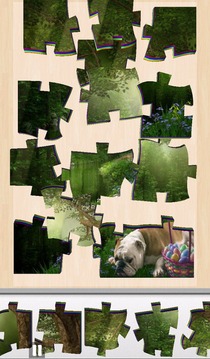 Live Jigsaws - Spring is Here游戏截图5