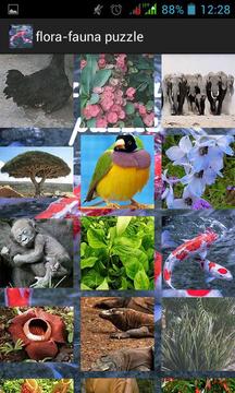 Flora Fauna Puzzle游戏截图1