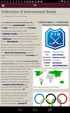 International Bandy游戏截图4