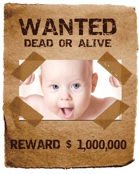 Wanted Poster游戏截图3