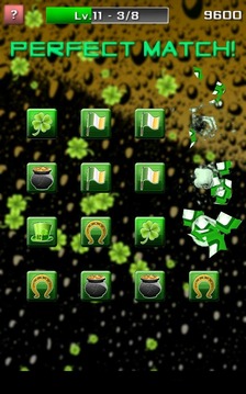 Match and Flip游戏截图4