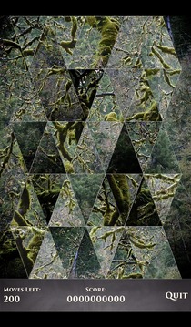 PuzzleSwap - Along the Trail游戏截图1
