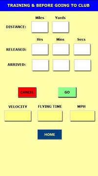 Racing Pigeon Speed游戏截图3