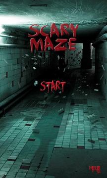 Scary Maze SG游戏截图2