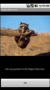 Magical Raccoon游戏截图2