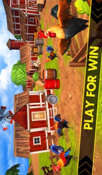 Rooster Race and Run Game游戏截图1