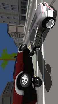 Extreme Race Car Simulator游戏截图4