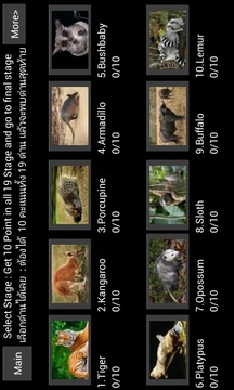 World Mammal - Animal Quiz游戏截图2