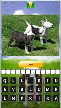 Puppy Dog Breeds Quiz游戏截图3