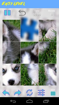 Husky Jigsaw Puzzle游戏截图4