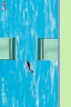 Flappy Little Dolphin游戏截图2