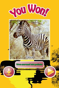 Africa Puzzles游戏截图3