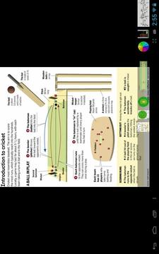 Cricket Funda游戏截图4