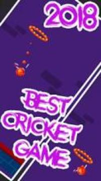 Cricket dunk genuine dunk criket 2018游戏截图3