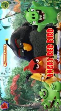 DiamondSwitch For Angry Red Bird游戏截图3