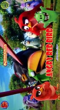 DiamondSwitch For Angry Red Bird游戏截图4