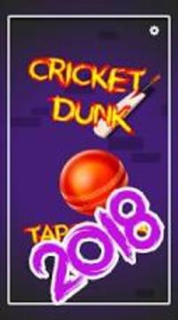 Cricket dunk genuine dunk criket 2018游戏截图4