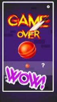 Cricket dunk genuine dunk criket 2018游戏截图1