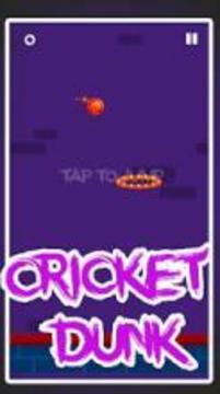 Cricket dunk genuine dunk criket 2018游戏截图2