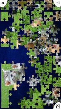 Pocket Jigsaw Puzzles游戏截图5