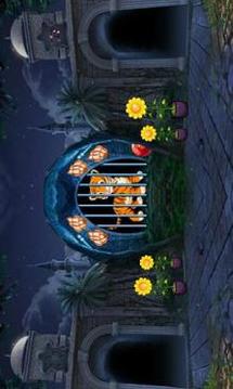 Cute Tiger Rescue Best Escape Game-366游戏截图3