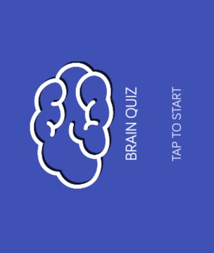 Brain Quiz游戏截图1
