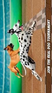 Virtual Derby Dog Racing Championship游戏截图4