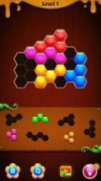 Hexa Color Block Puzzle游戏截图1