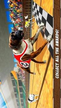 Virtual Derby Dog Racing Championship游戏截图1