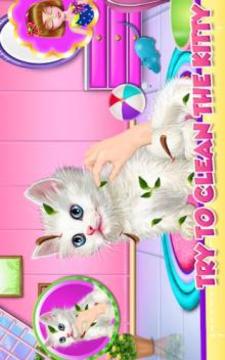 Kitty Care and Grooming游戏截图5