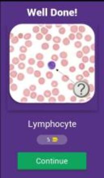 Hematology Quiz游戏截图2