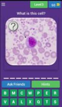 Hematology Quiz游戏截图4