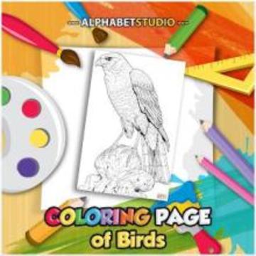 Coloring Page Of Birds游戏截图3
