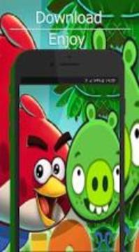 angry bad birds piggies lock wallpapers游戏截图1