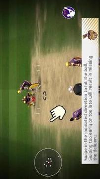 KKR Cricket 2018游戏截图5