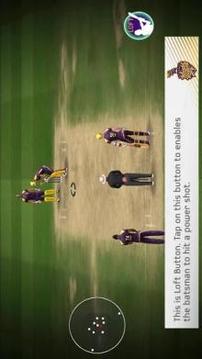 KKR Cricket 2018游戏截图4