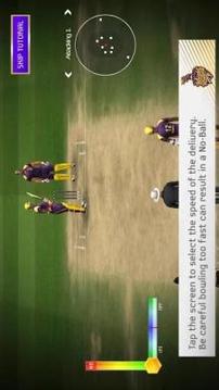 KKR Cricket 2018游戏截图3