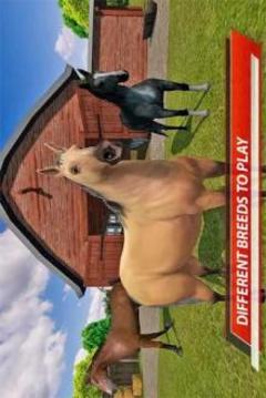 My Horse Show: Race & Jumping Challenge游戏截图1