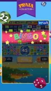 Video Bingo Pipa游戏截图4