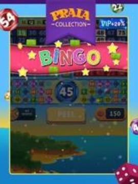 Video Bingo Pipa游戏截图1