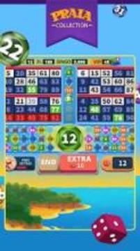 Video Bingo Pipa游戏截图5