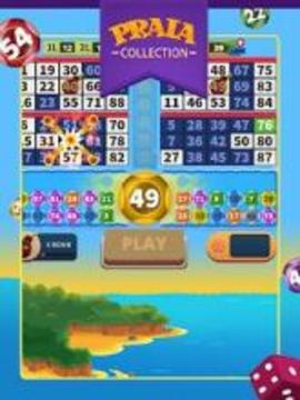 Video Bingo Pipa游戏截图3