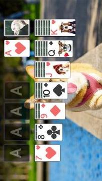 Solitaire Lovely Dogs Theme游戏截图2
