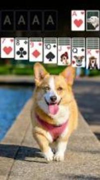 Solitaire Lovely Dogs Theme游戏截图4
