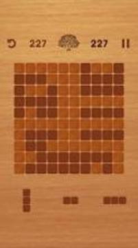 Wood Puzzle - Brain Puzzle Game游戏截图3