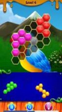 Bird Hexagon Puzzle游戏截图2