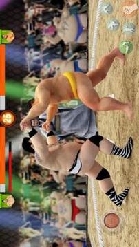 Sumo Wrestling WWE游戏截图2