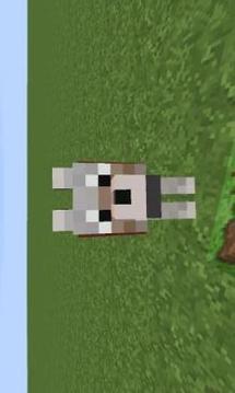 Dog Mod MCPE游戏截图3