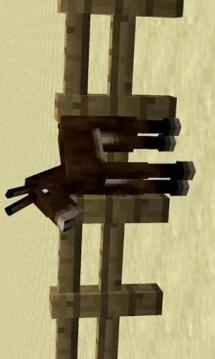 Dog Mod MCPE游戏截图2