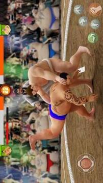 Sumo Wrestling WWE游戏截图4